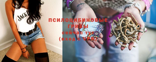 герыч Арсеньев