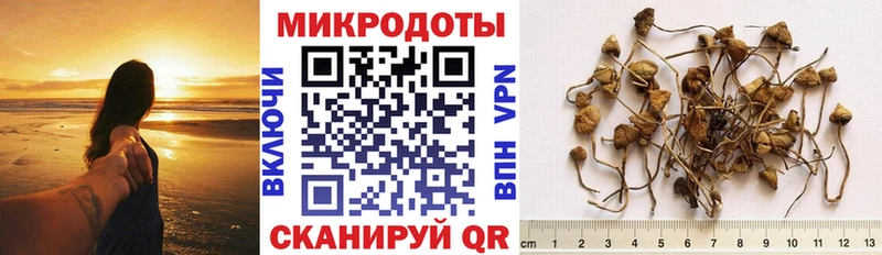 Галлюциногенные грибы Magic Shrooms  Купить закладки  Лянтор 